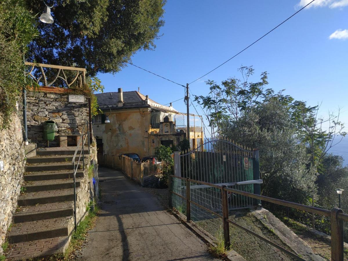 Casaviva - Ampio Trilocale Vista Mare Con Piscina - Pieve Alta Apartment Pieve Ligure Luaran gambar